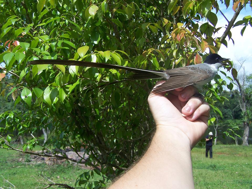 FIGURE 5 FIGURE 5